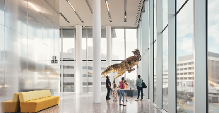 Seamless Acoustic Plaster